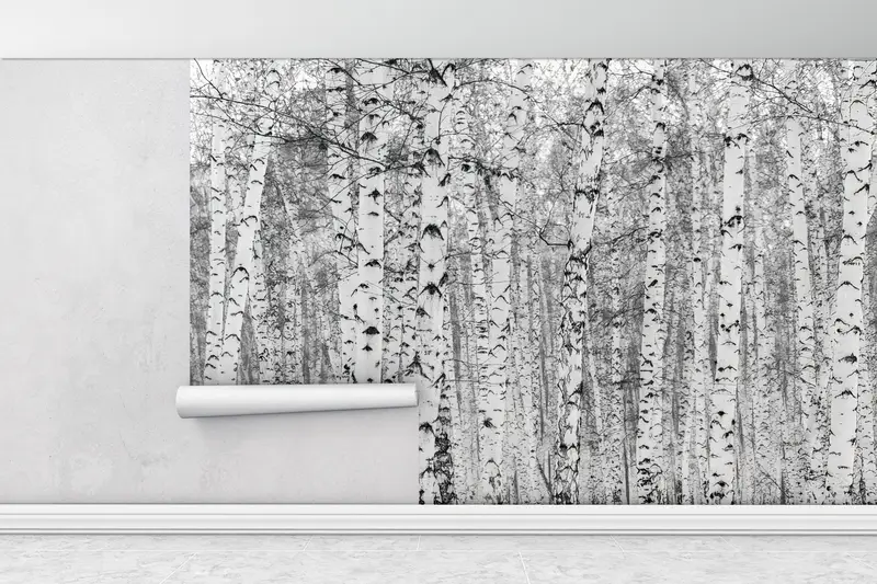 Wall Paper Peel and Stick, Bright Wall Paper, Paper Wall Art, Black And White Wall Mural, Birch Forest, Birch Forest Wall Decor, - 7
