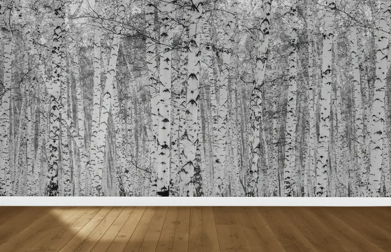 Elegante, mit Birkenwäldern bedruckte Tapete: Die Ruhe der Natur erwartet Sie
