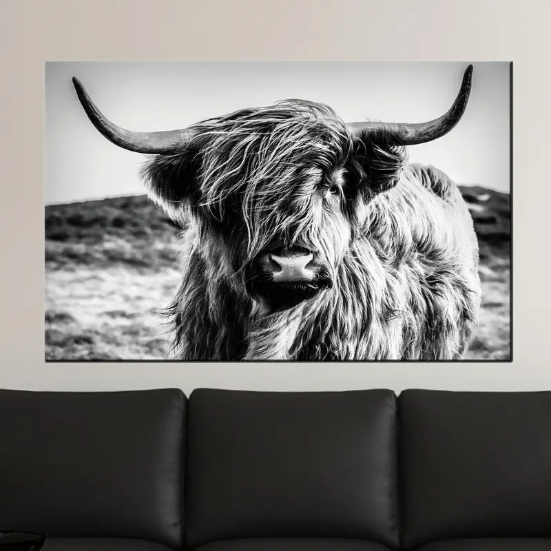 Scottish Cow Canvas: Black & White Art for Man Cave