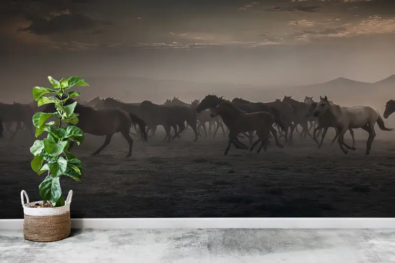 Wall Paper Peel and Stick, Paper Wall Art, Wild Horses, Bright Wall Paper, Gift For Horse Lover Wall Decor, Horse Lover Wallpaper, - 2