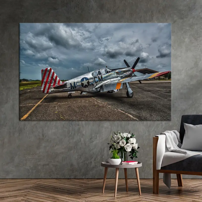 エレガントなプリント キャンバス: マン ケイブのアメリカン プレーン アート