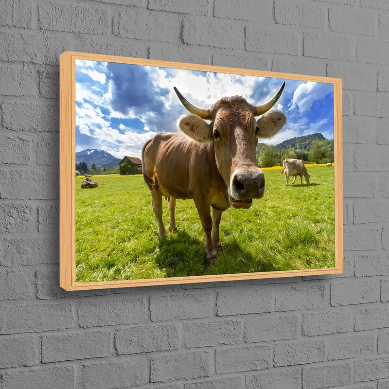 Büyüleyici Çiftlik Evi İnek Kanvas Tablo: Komik Hayvan Kanvas Tablo