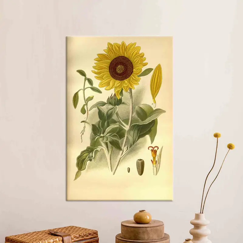 ヴィンテージひまわり植物キャンバスプリント - ひまわり愛好家へのギフト