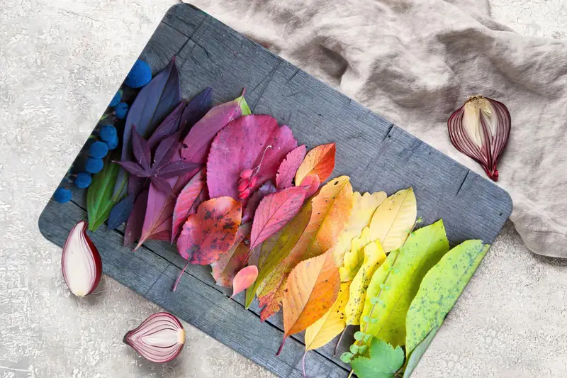 葉っぱプリントのガラスまな板: モダンで衛生的なキッチンの必需品