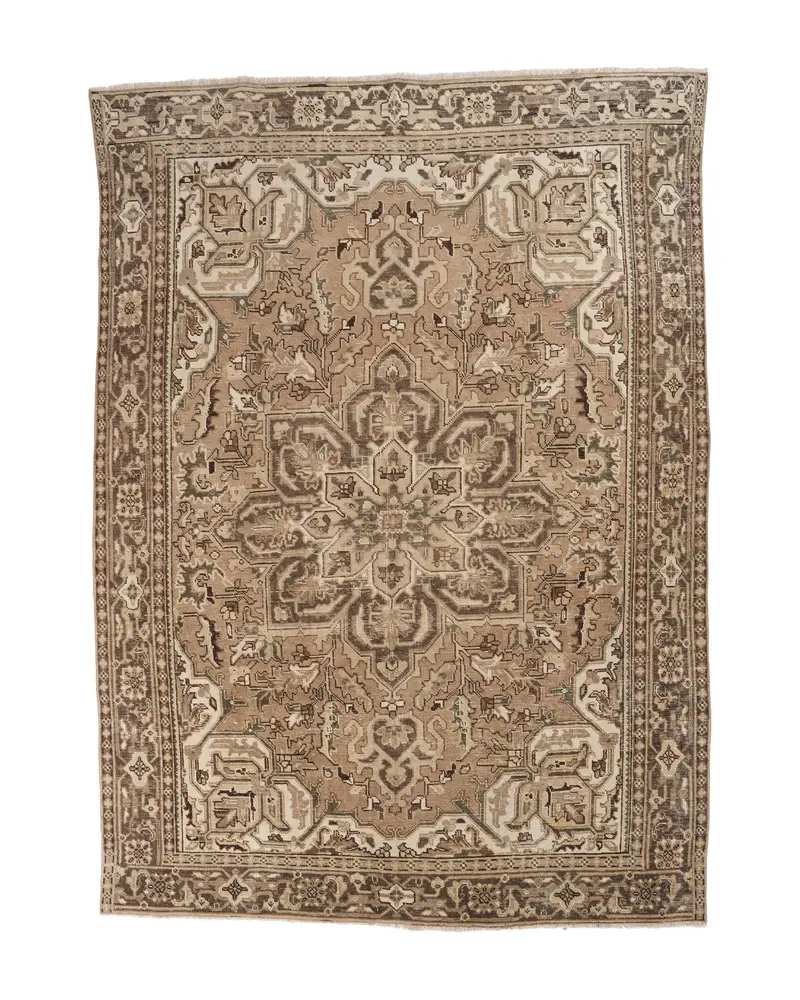 Zarif Bej ve Kahverengi İran Halısı, 7,9x10,8 ft