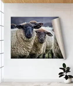 Thumbnail 10