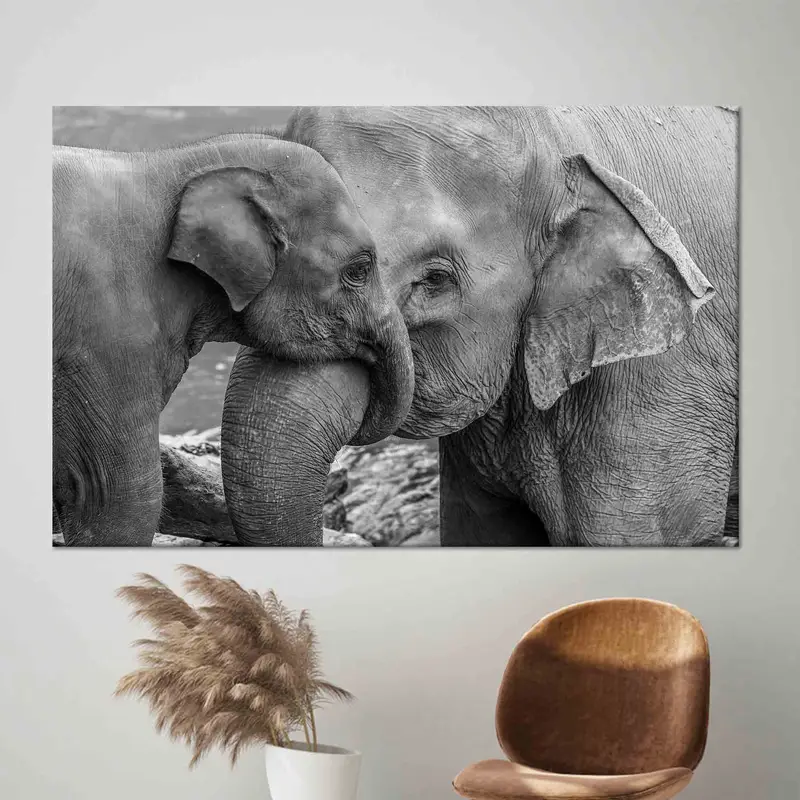 Modern Fil Kanvası: Siyah Beyaz Çiftlik Evi Dekoru