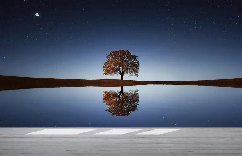 Tree Landscape Mural, Sky Wall Mural, Space Wall Mural, Galaxy Wall Poster, Moon Wall Poster, Tree Wall Poster, Night Wallpaper, - 5