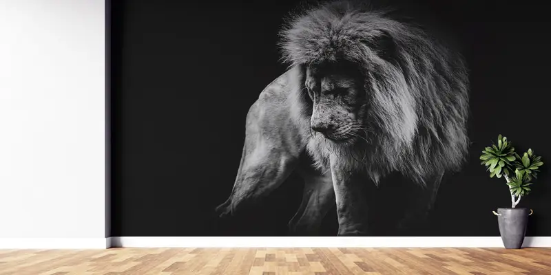 Paper Wall Art ,Modern Wall Paper,Portrait of a African Lion Wall Painting,Wall Paper Peel and Stick,Lion Wall Painting, - 7