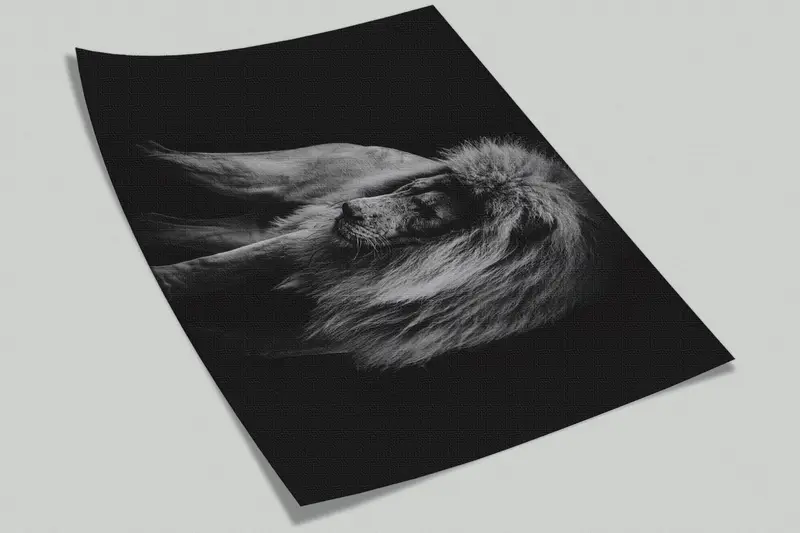 Paper Wall Art ,Modern Wall Paper,Portrait of a African Lion Wall Painting,Wall Paper Peel and Stick,Lion Wall Painting, - 9