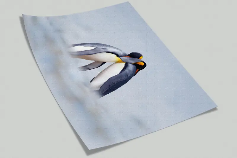 Cuddling Penguins Wall Painting, Snow Wall Painting, Paper Crafts, Animal Digital Paper, Winter Wallpaper, 3D Wall Mural, - 10