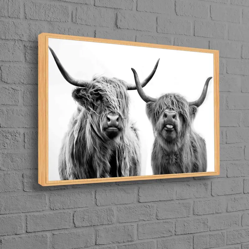 Impresión moderna de lienzo de vaca escocesa de las tierras altas - Decoración de la granja