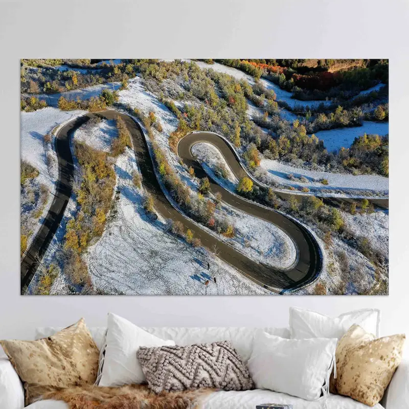 エレガントな冬の森のキャンバス: 捉えられた自然の静けさ