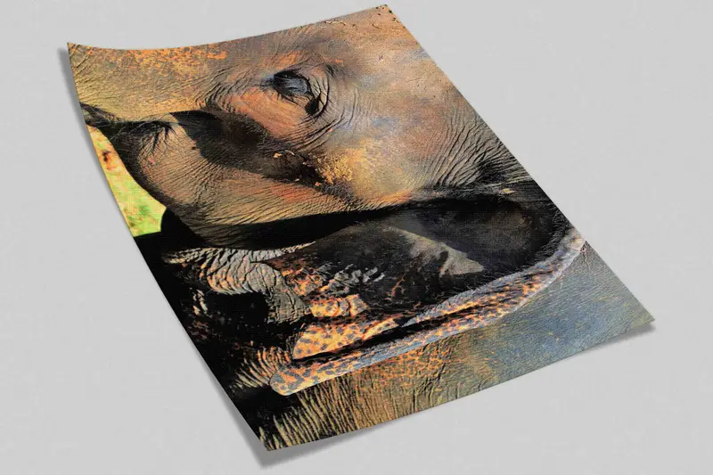 Safari Wall Print, African Animal Paper Craft, 3D Wallpaper, Animal Wall Painting, Old Elephant Wall Painting, Printable Wall Art,Animal Art - 8