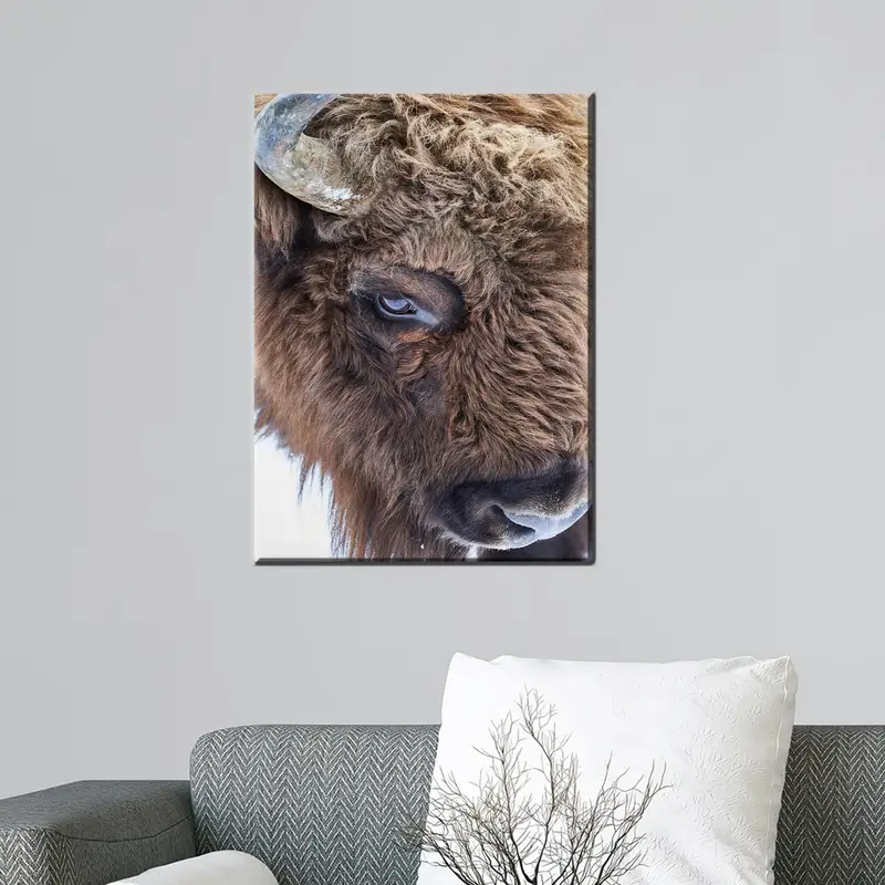 トレンディなロフト装飾用のエレガントなファームハウス ワイルド ブル キャンバス プリント