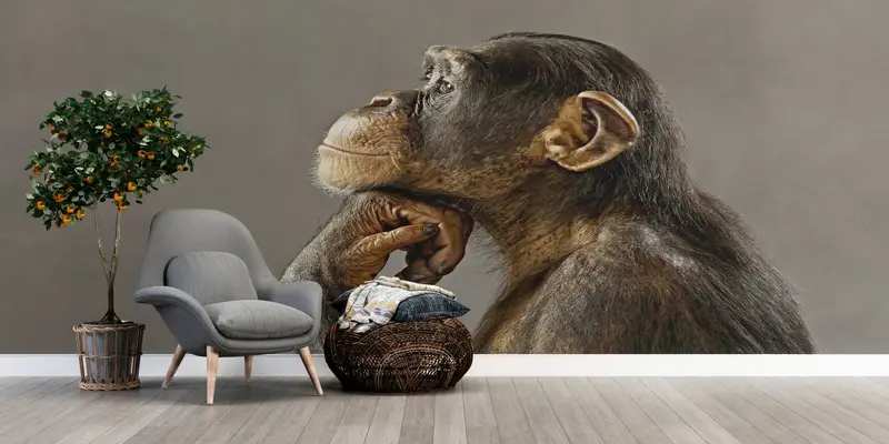 3d Wall Paper, Animal Wall Print, Bright Wall Paper, Wall Paper Peel and Stick, Thinking Monkey Photo Print, Monkey Photo Wall Decor, - 4