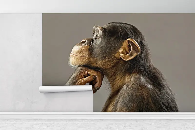 3d Wall Paper, Animal Wall Print, Bright Wall Paper, Wall Paper Peel and Stick, Thinking Monkey Photo Print, Monkey Photo Wall Decor, - 1