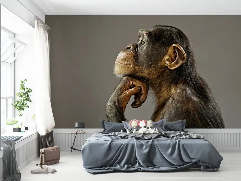 3d Wall Paper, Animal Wall Print, Bright Wall Paper, Wall Paper Peel and Stick, Thinking Monkey Photo Print, Monkey Photo Wall Decor, - 3