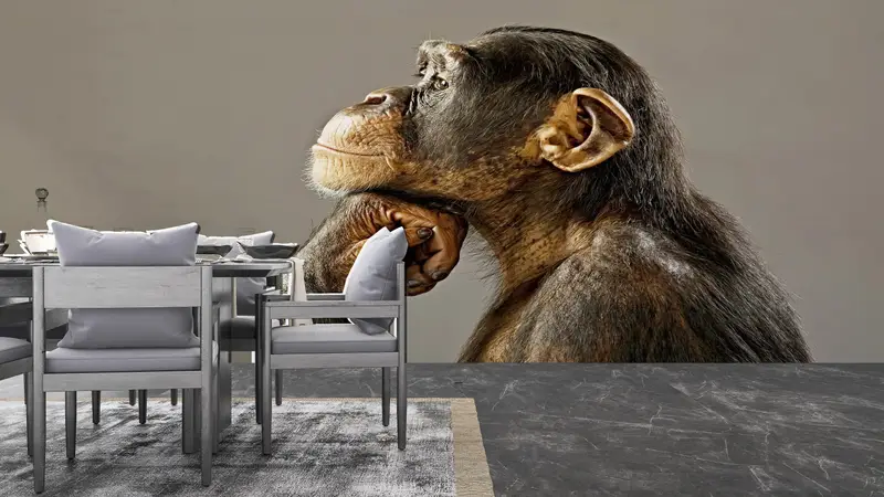 3d Wall Paper, Animal Wall Print, Bright Wall Paper, Wall Paper Peel and Stick, Thinking Monkey Photo Print, Monkey Photo Wall Decor, - 2
