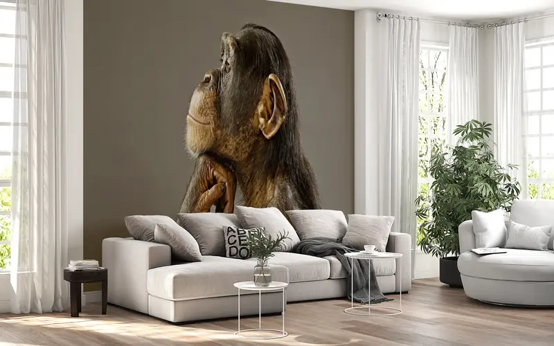 3d Wall Paper, Animal Wall Print, Bright Wall Paper, Wall Paper Peel and Stick, Thinking Monkey Photo Print, Monkey Photo Wall Decor, - 6