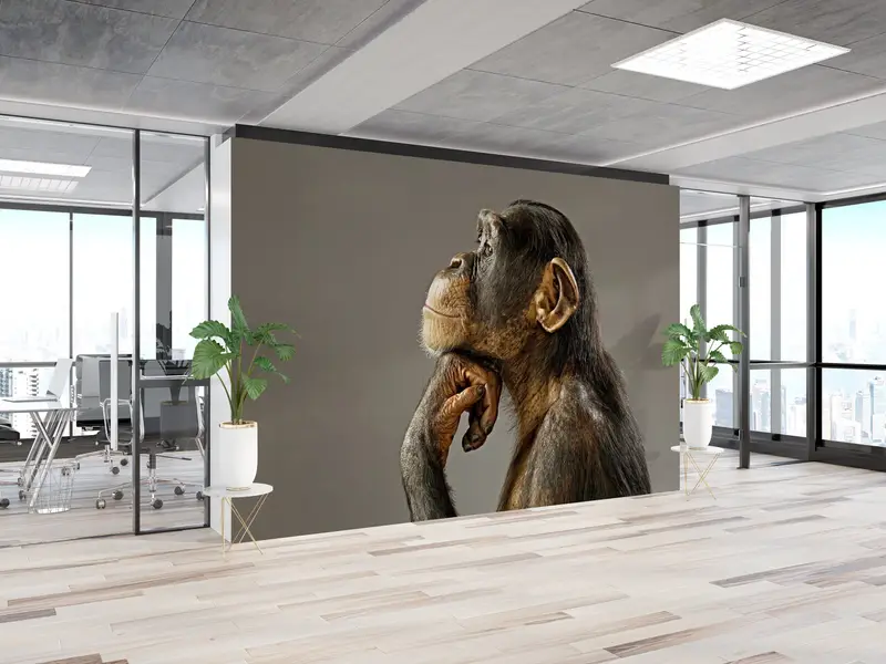 3d Wall Paper, Animal Wall Print, Bright Wall Paper, Wall Paper Peel and Stick, Thinking Monkey Photo Print, Monkey Photo Wall Decor, - 5