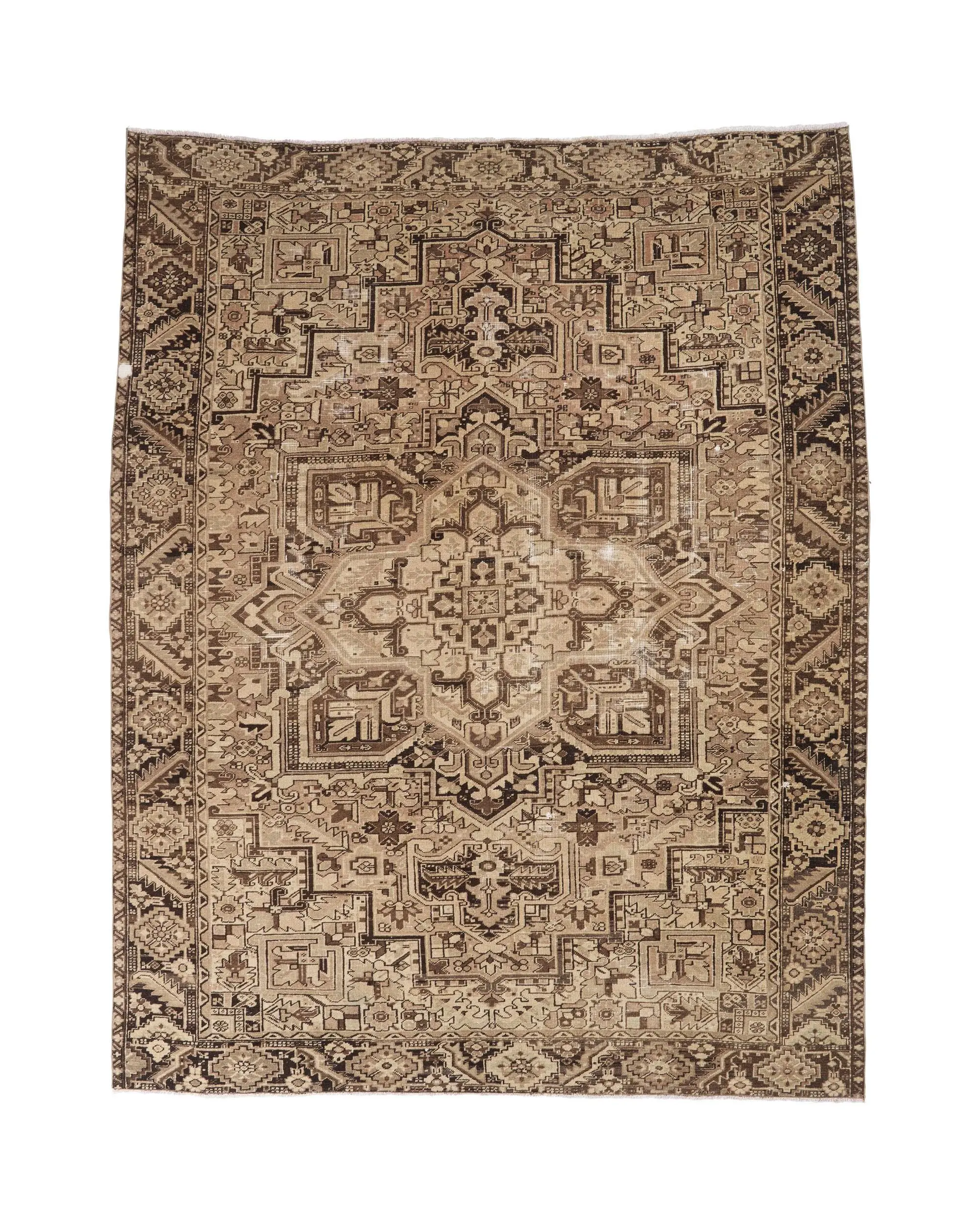 8.5x11.1 ft Vintage Rug, Brown Plants & trees Turkish Wool Rug - 1