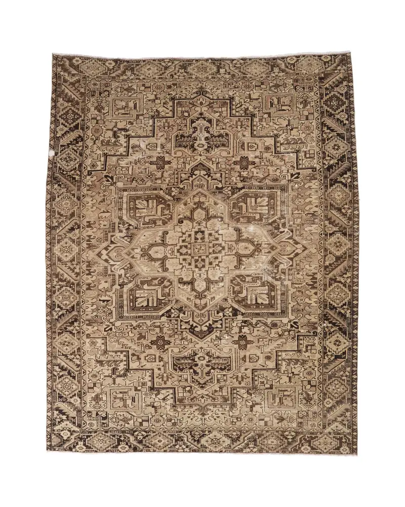 Zarif Bej ve Kahverengi Halı, 8,5x11,1 ft Doğadan Esinlenen Tasarım