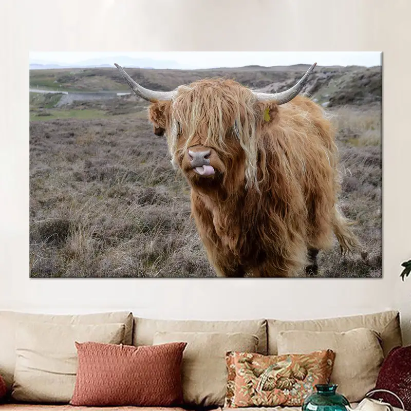 雄大なハイランド牛のキャンバス: 解き放たれた自然の野生の美しさ