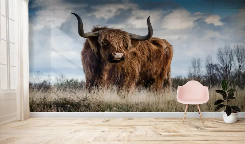 Animal Wall Paper, Cow Paper Art, Paper Crafts, Village Wall Decals, Papercraft 3D, Scottish Highland Cow Wall Decals, Wallpaper Patent, - 6