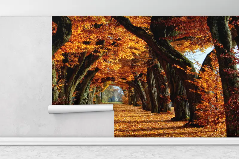 3D Wallpaper, Tree Landscape Mural, Tree Wall Print, View Digital Paper, Autumn Tree Landscape Digital Paper, Gift For The Home, - 5