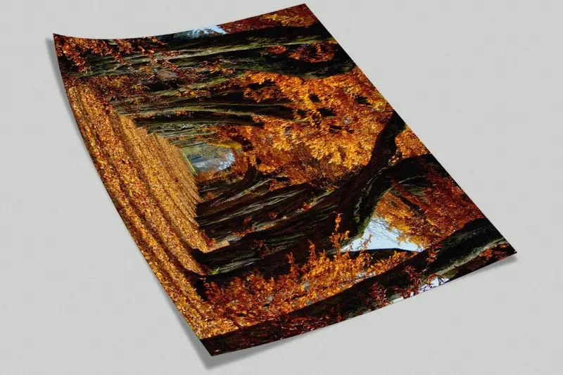 3D Wallpaper, Tree Landscape Mural, Tree Wall Print, View Digital Paper, Autumn Tree Landscape Digital Paper, Gift For The Home, - 4