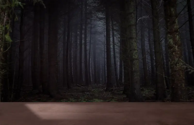 Ev Dekorasyonu için Zarif Orman Gece Manzarası Baskılı Duvar Kağıdı