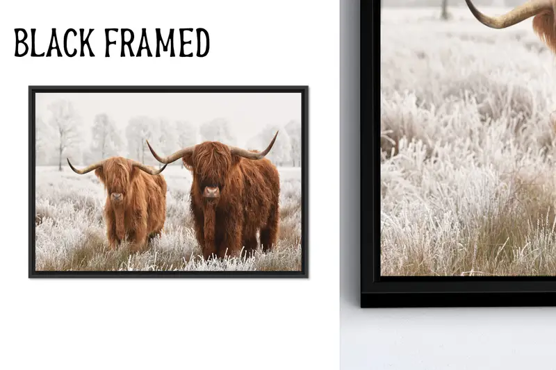 Zarif Yayla İnek Kanvası: İskoç Çiftlik Evi Kıyı Dekoru