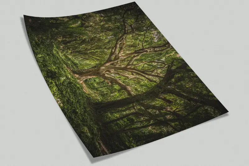 Forest Wall Painting, Tree Wall Poster, Old Tree Landscape Wall Decor, Tree View Wall Art, Nature Landscape Wall Art, View Wall Paper, - 10