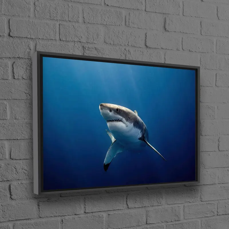Modern Farmhouse Canvas: Beautiful Shark Underwater Blue Art Print