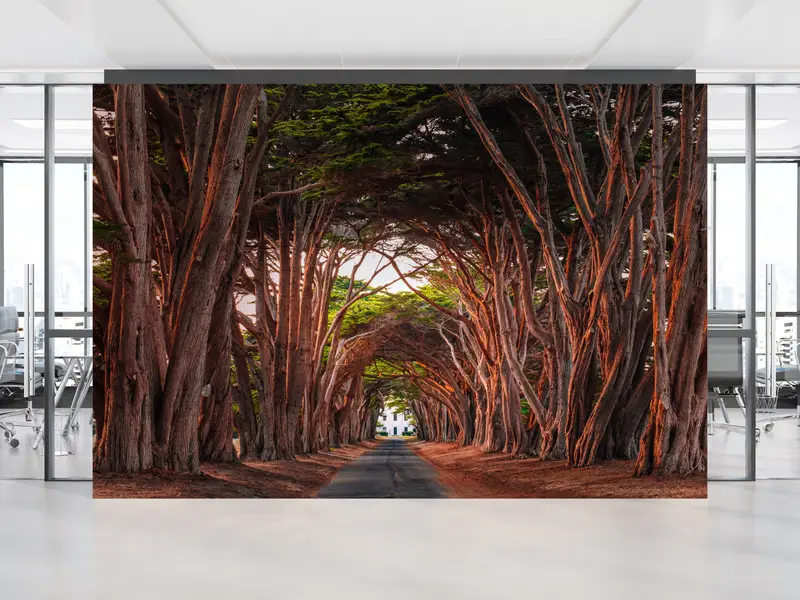 Büyüleyici Masal Ağaçları Baskılı Duvar Kağıdı: Alanınızı Dönüştürün