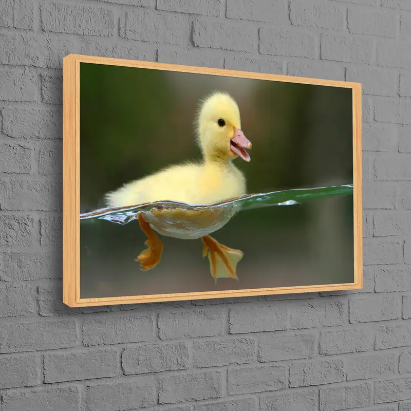 Lienzo de pato moderno: arte de baño moderno para la habitación de los niños