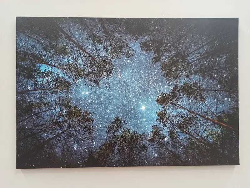 Lienzo impreso con vista nocturna del bosque encantador - Nature's Serenity