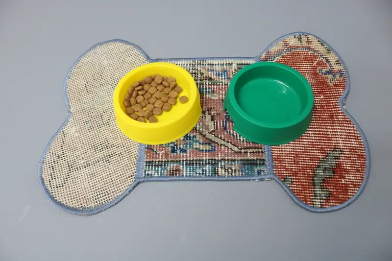 Beige & Red Kilim Pet Pad, Bone Design Absorbent Mat