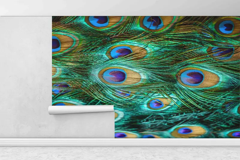 Peacock Paper Craft, Decals For Walls, Colorful Peacock Feather Paper Craft, Modern Paper Craft, Animal Digital Paper, 3D Printing Art, - 4