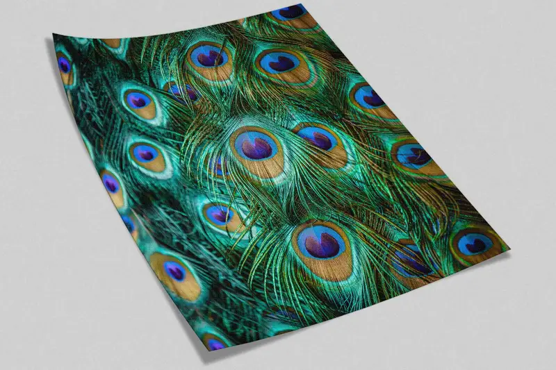 Peacock Paper Craft, Decals For Walls, Colorful Peacock Feather Paper Craft, Modern Paper Craft, Animal Digital Paper, 3D Printing Art, - 2