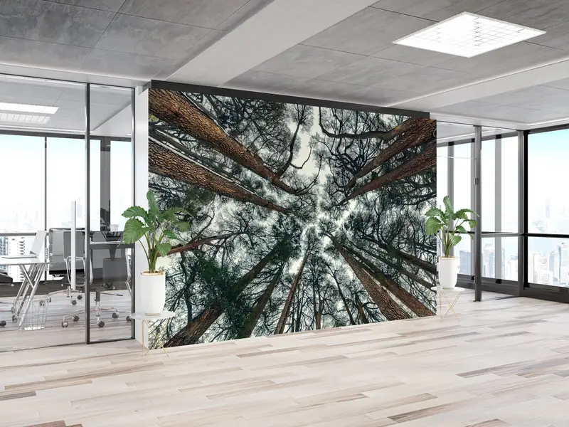 Zarif Baskılı Duvar Kağıdı: Orman Manzaralı Çiftlik Evi Dekoru