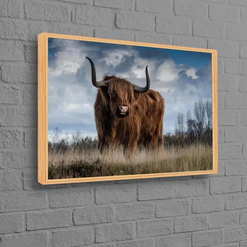 エレガントなハイランドカウビレッジキャンバス: 芸術的なスコットランドの装飾