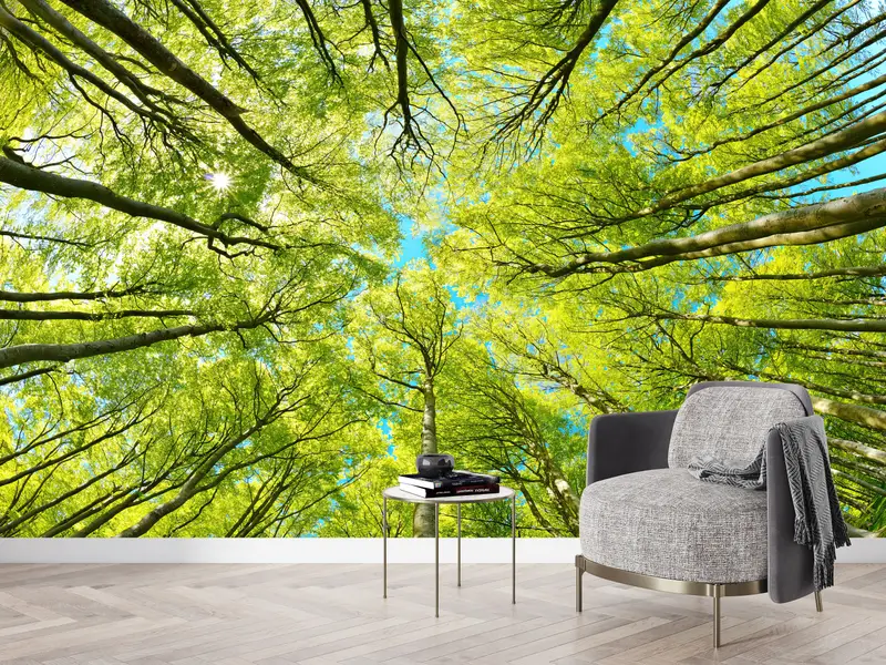 Zarif Baskılı Orman Manzaralı Duvar Kağıdı: Doğanın Süslü Huzuru