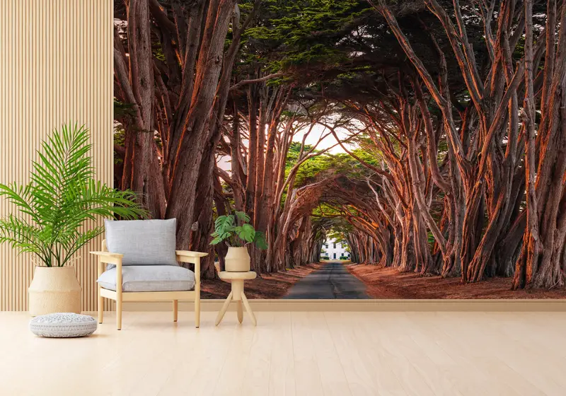 Bedruckte Tapete „Enchanted Tree Path“ – märchenhafte Waldszene