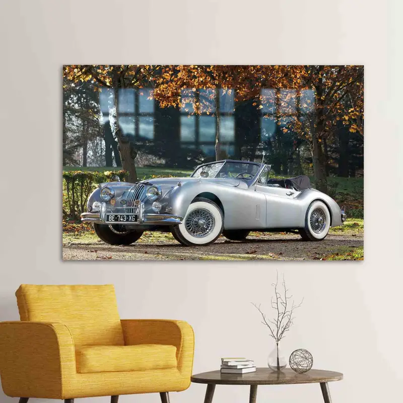 ヴィンテージ ジャガー カー プリント ガラス: エレガントでレトロな車愛好家へのギフト