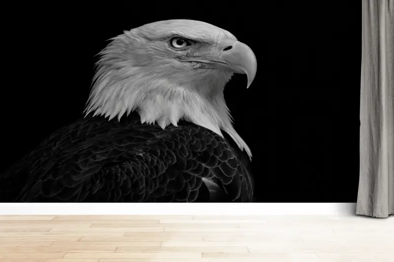 3d Wall Paper,Wall Paper Peel and Stick,Eagle Photo Print,Bright Wall Paper,Majestic Bald Eagle Wall Print,Loft Mural, - 9