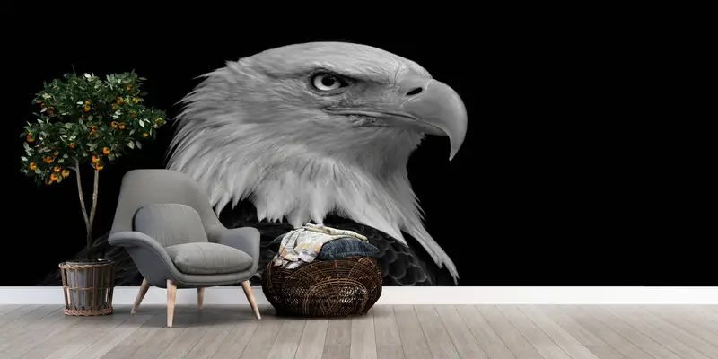 3d Wall Paper,Wall Paper Peel and Stick,Eagle Photo Print,Bright Wall Paper,Majestic Bald Eagle Wall Print,Loft Mural, - 4