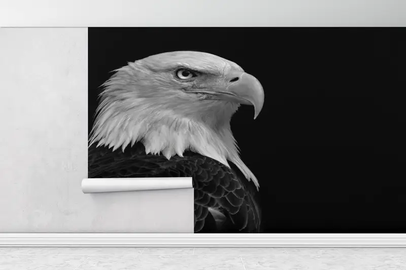 3d Wall Paper,Wall Paper Peel and Stick,Eagle Photo Print,Bright Wall Paper,Majestic Bald Eagle Wall Print,Loft Mural, - 1