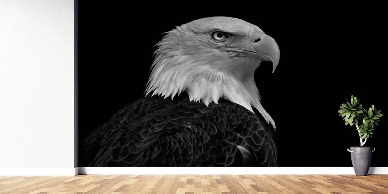 3d Wall Paper,Wall Paper Peel and Stick,Eagle Photo Print,Bright Wall Paper,Majestic Bald Eagle Wall Print,Loft Mural, - 8